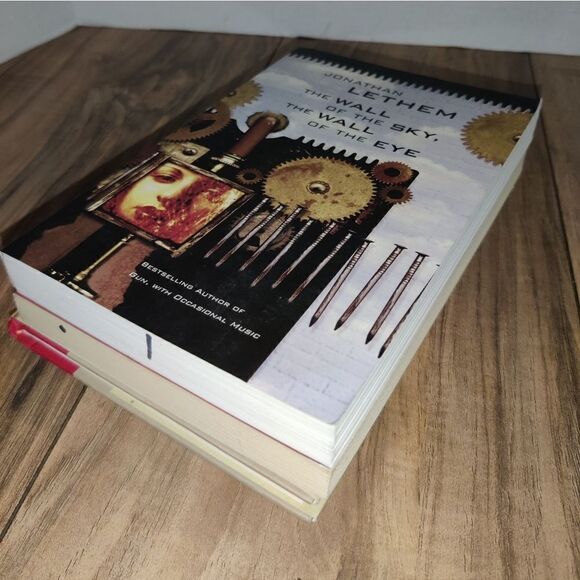 Jonathan Lethem Set Of 3 Books Amnesia & The Wall Of The Sky & Men And Cartoons. - Picture 3 of 5